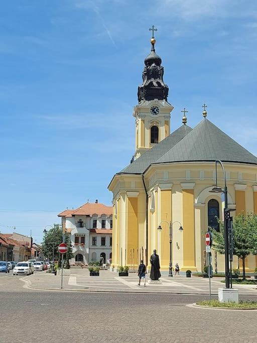 Art Nouveau Apartment Ultracentral Oradea Exterior photo