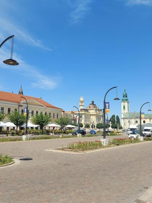 Art Nouveau Apartment Ultracentral Oradea Exterior photo